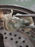 湾仔码头荠菜马蹄大馄饨600g30只素馄饨云吞夜宵速食馄饨儿童早餐半成品 实拍图