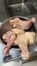 正大鸡全腿4斤（约4-6个）鸡腿烧烤鸡肉鸡腿肉低脂生鲜烤鸡大腿 实拍图