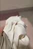 俞兆林女士内裤女纯棉抑菌底档纯色中腰三角裤女包臀无痕透气少女 M 实拍图