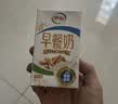 伊利早餐奶核桃味 250ml*24盒 优选核桃早餐伴侣 礼盒装 4月产 实拍图