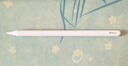 Apple/苹果 Pencil(第二代) 磁吸触控笔手写笔苹果笔电容笔书写绘画iPad笔 适用iPad Air(第五代) 实拍图