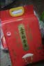 十月稻田 绿色食品 五常大米 10斤(香米 东北大米 5kg/公斤) 实拍图