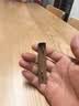 慕亚（MUYA）不锈钢袜子晾晒架内衣裤架阳台防风浸塑18夹蓝色家用多夹子袜子晾衣架多夹子防风不脱落省空间 实拍图