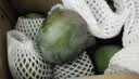 京鲜生攀枝花凯特芒净重8斤 单果400g＋ 新鲜水果 源头直发包邮 实拍图