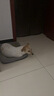 疯狂小狗中大型犬狗粮成幼犬40斤宠物边牧金毛拉布拉多鸡肉燕麦20kg囤货装 实拍图