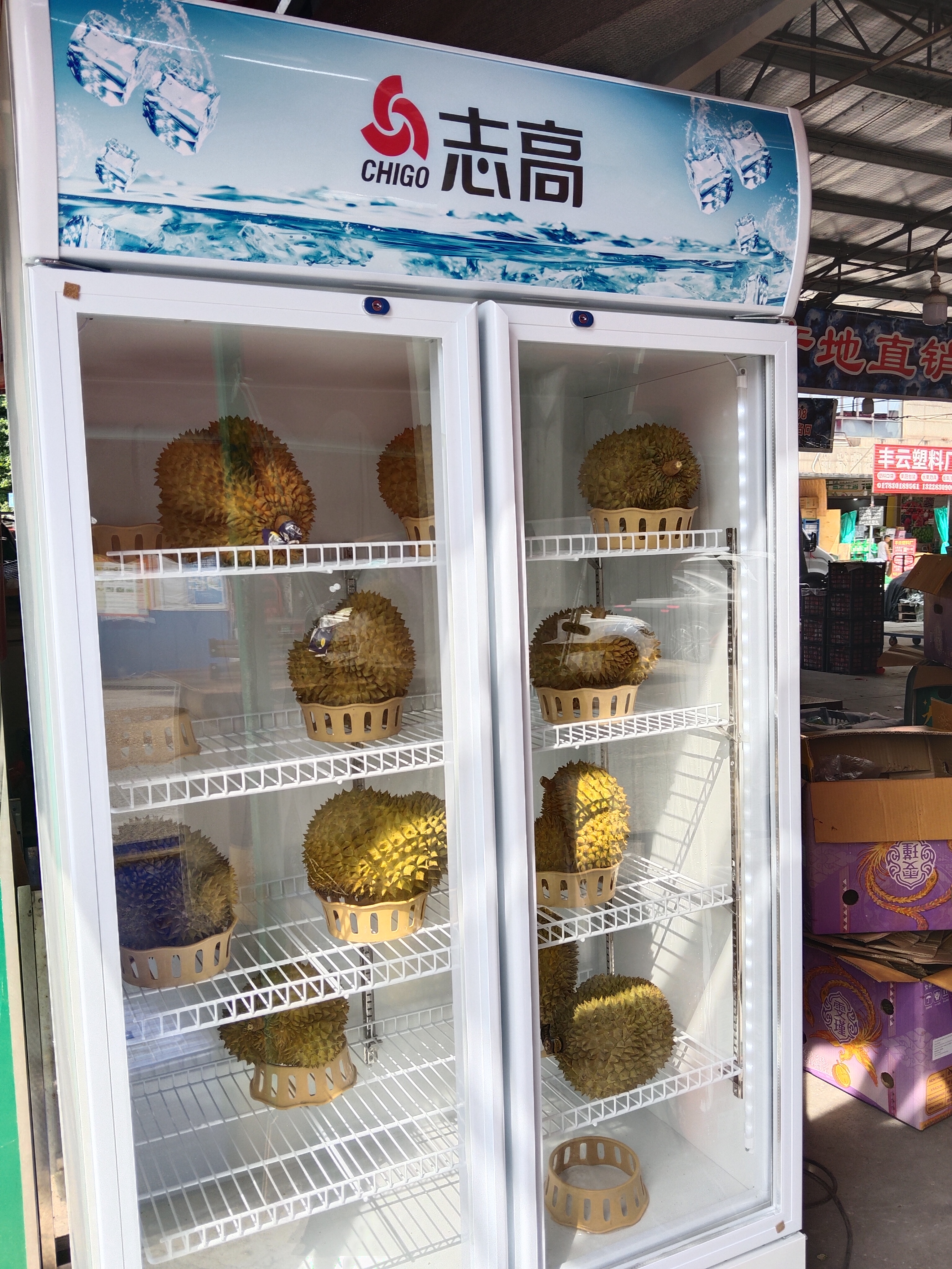 志高展示柜冷藏大容量饮料柜冰柜商用保鲜柜超市玻璃门冰箱立式啤酒柜 双门下机【直冷节能】蓝白 一级节能省电80% 实拍图