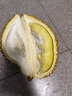 京鲜生【保5房】进口金枕鲜榴莲 4-5斤礼盒装 生鲜新鲜水果源头直发 实拍图