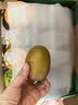 佳沛（zespri）新西兰阳光金奇异果10粒巨大果单果146-175g 猕猴桃水果礼盒 实拍图