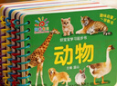 阳光宝贝 好宝宝学习起步书（套装全6册）幼儿启蒙认知早教撕不烂卡片书水果蔬菜颜色动物 暑假作业 一升二暑假衔接 小升初暑假衔接  实拍图