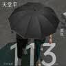天堂伞十骨加大抗风双人大雨伞三人大伞折叠男女学生商务定制logo广告伞 3311E碰十骨双人雨伞【乌木黑】 实拍图