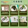 苏拉达(Surada)植物拓染材料包 手工diy树叶敲拓染锤子扎染方巾布料儿童拓印套装植物绘画diy工具包sd262 实拍图