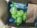 蓝月亮洗手液泡沫清爽护手去油去腥500g*3+补充装500g*3 厨房家用大瓶 实拍图