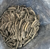 洽洽海盐味瓜子零食500g*1袋 大包装葵花籽炒货团购休闲零食新风味 实拍图