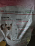 皇家猫粮 幼猫猫粮 幼猫奶糕 K36 通用粮 4-12月 2KG 实拍图