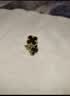 蔻斯琦蝴蝶四叶草时遇星期耳钉贝壳耳环礼盒港风优雅气质耳饰套装送女友 实拍图