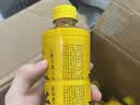 王老吉原味凉茶0糖0脂0卡草本植物饮料500ml*15瓶【跑男同款】 热门推荐 实拍图