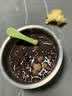 十月稻田 红小豆 2斤 红豆沙 打豆浆 杂粮粗粮真空装 大米伴侣 八宝粥原料 实拍图