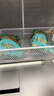 八马茶业 冰岛小青柑普洱茶 新会柑头采青柑 2021年熟普400g 罐装茶叶 3R香柔工艺 3秒出汤 实拍图