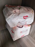 好奇（Huggies）铂金装小桃裤成长裤XXXL26片*4包(17kg以上)【夏季散热王】 实拍图