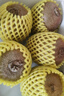 佳沛（zespri）新西兰阳光金奇异果 8个装 特大果单果重约124-146g 水果猕猴桃 实拍图