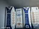 蒙牛特仑苏纯牛奶250ml*16盒 家庭早餐 送礼盒装送礼礼盒 实拍图