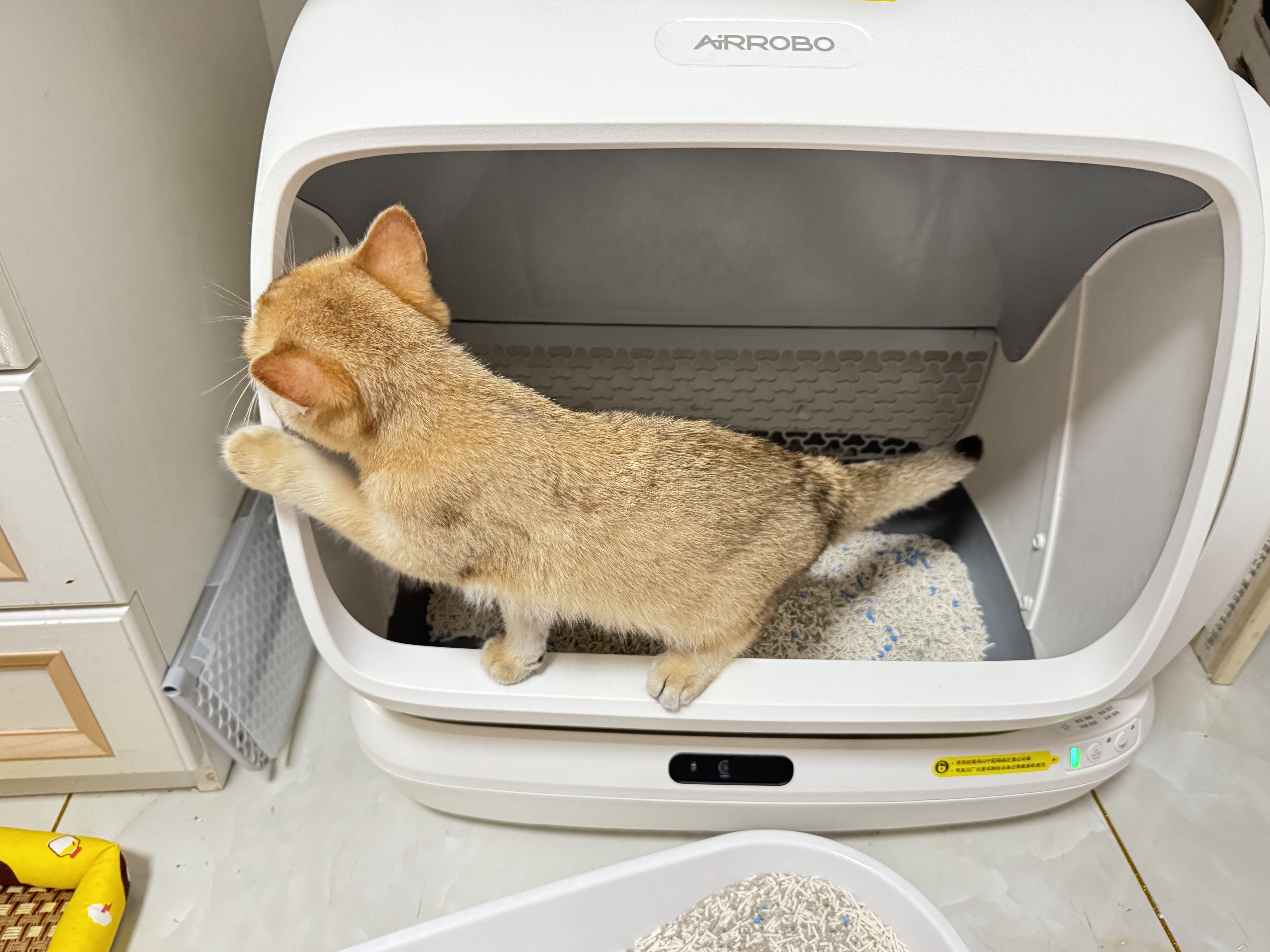 空气萝卜全自动猫砂盆超大号 智能猫砂盆猫厕所自动铲屎机 实拍图