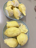 京鲜生 进口金枕头鲜榴莲 净重6-7斤 1个装 生鲜 新鲜水果新鲜榴莲 实拍图