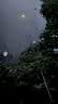 汉鼎一号5代鱼竿超轻手竿3.9米台钓竿鲫鱼竿碳纤维手杆 3.9m小综合 实拍图