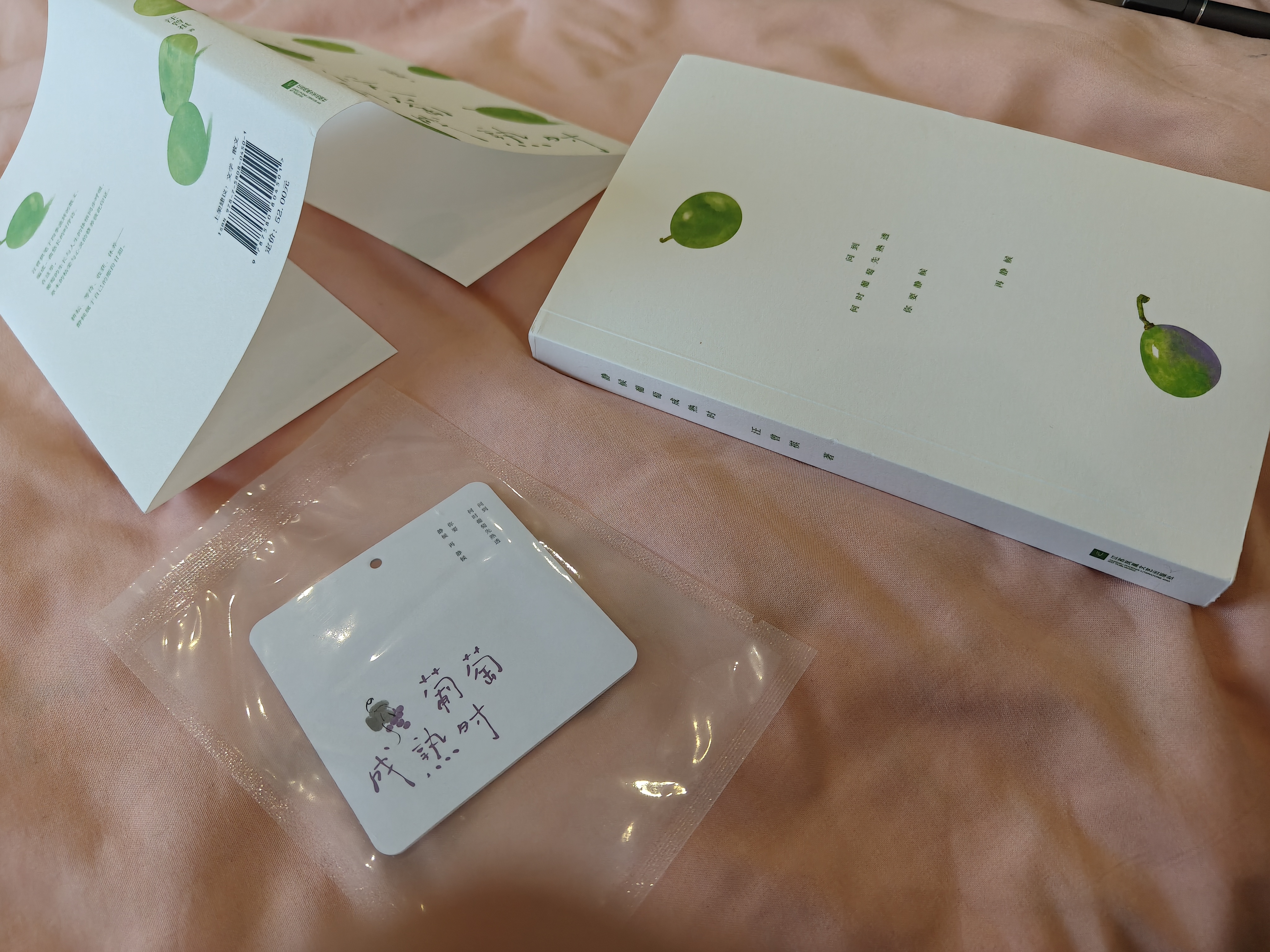 【当当 正版包邮】汪曾祺作品 静候葡萄成熟时 晒单实拍图