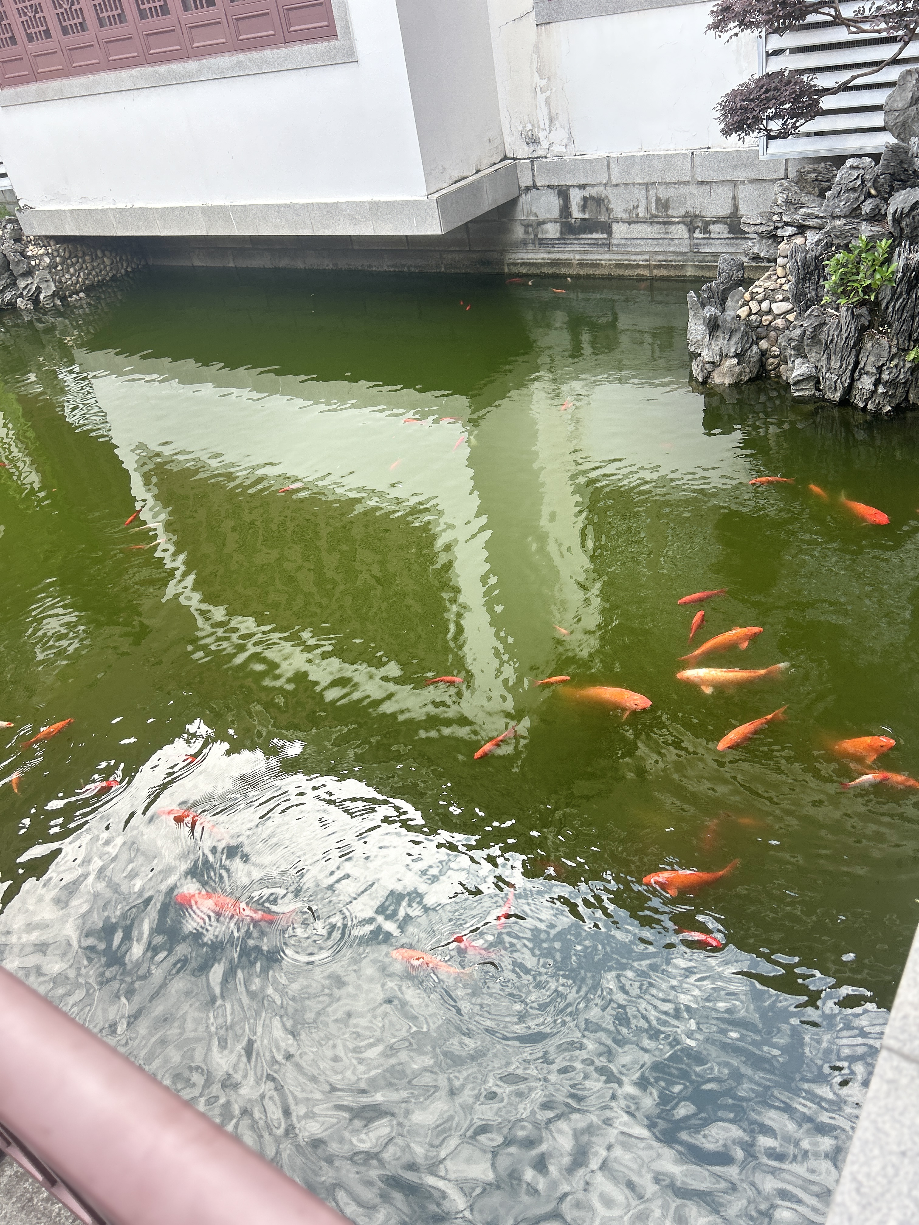 兰酷帕熊猫百变无限魔方3D立体变形积木3-6岁儿童益智玩具女孩生日礼物 实拍图
