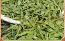 第一江南2026新茶绿茶西湖龙井明前特级150g老树茶叶礼盒装杭州高端送礼物 实拍图