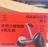 Ninebot 九号手扶杆A款（适配九号平衡车L6/L8/LC2/L5） 实拍图