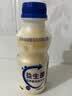 乳酸菌益生菌风味饮料乳酸菌饮品340ml/瓶早餐酸奶好喝 益生菌340ml*1瓶 实拍图