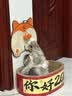 澳龙泌尿呵护粮猫泌尿道情绪舒缓远离结石全价幼猫成猫粮1.2kg 实拍图