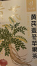忆江南苹果黄芪水麦冬须根枸杞茶150g补茶包气血养生茶独立包装 实拍图