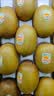 佳沛（zespri）新西兰 阳光金奇异果12粒特大果单果124-146g 猕猴桃水果礼盒 实拍图