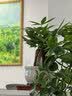 花翁大盆三杆发财树盆栽绿植室内客厅中式盆景办公室桌面摆件源头直发 实拍图