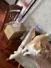 力狼 猫条猫零食 成幼猫通用宠物猫咪零食猫湿粮 鲜肉混合口味猫条15g*10支 实拍图