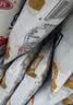 三元小福纯牛奶整箱227ml*16包 枕包 营养早餐伴侣【丁禹兮同款】 实拍图