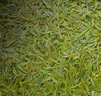 京东京造×浙茶【2026新茶】明前特级西湖龙井150g老茶树绿茶茶叶送礼礼盒 实拍图