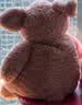 Jellycat新生系列巴塞罗熊摇铃婴儿陪伴玩具安抚宝宝送礼生日新婚礼物 棕色 One Size 实拍图