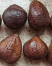 京地达印尼蛇皮果净重1.7斤单果50g+记忆果小众生鲜水果 源头直发包邮 实拍图