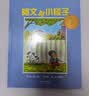 阿文的小毯子 凯迪克大奖绘本 经典畅销绘本 入选2018年学校推荐阅读书单，2004年凯迪克银奖（启发出品）  实拍图