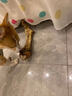 pidan猫砂 豆腐猫砂2.4kg*6包强力吸臭纯猫砂 可冲厕所非膨润土砂 实拍图