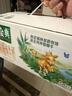 伊利金典双限定娟姗纯牛奶锡林郭勒牧场250ml*12 5-6月 实拍图