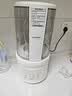 蓝宝（BLAUPUNKT）破壁机 豆浆机家用榨汁机全自动免煮2026新款低音家用自清洗钛盾底盘02T钢盖 实拍图