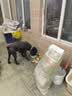 万颐狗粮肉粒双拼比熊金毛成犬专用小中大型犬通用型狗干粮20kg 实拍图