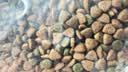麦富迪狗粮 藻趣儿狗粮成犬粮牛肉螺旋藻 均衡营养2.5kg 实拍图
