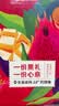 京地达芒果攀枝花金煌芒礼盒净重8斤单果400g+大芒果当季水果源头直发 实拍图