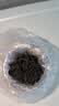 东方大师茶叶自己喝暖胃桂花红茶正山小种野茶新茶浓香特级正山小种礼盒装 【全网热销100万+】桂花红茶30g 实拍图